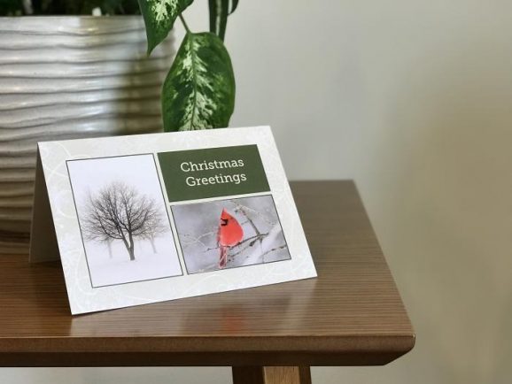 Appreciation case study image