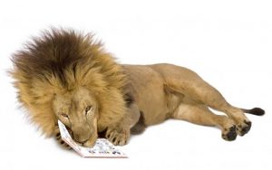 Lion reading a book